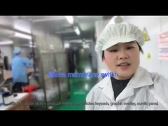 Interruptor de membrana PET personalizado para equipamentos médicos e aplicações industriais